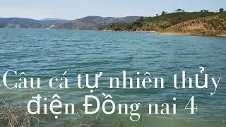 Câu cá tự nhiên đập thủy điện Đồng nai 4