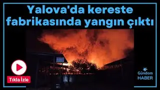 Yalova'da kereste fabrikasında yangın çıktı