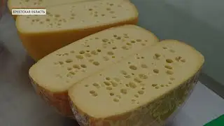Технологии и традиции. Как белорусские сыроделы создают продукцию высшего класса?