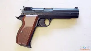 Газобалонный пистолет SAS P210
