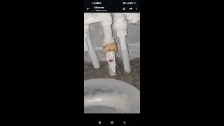 Течь полипропиленового крана Kalde.
