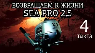 Восстановление 4х-тактного Sea Pro 2,5 Ремонт лодочных моторов.