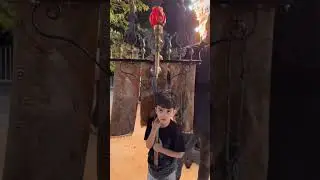 آیین تکیه خوانی شب هشت صفر 9 #shorts