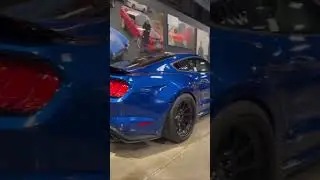 one of 98 shelby super snake 🐍