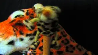 Tiger Son has a stick in his butt!!