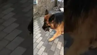 Лучшие моменты трансляции 