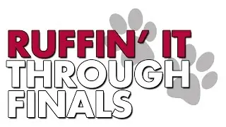 Ruffin' It Through Finals