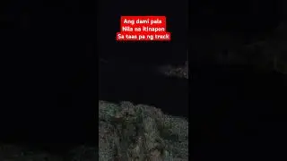 apat palang kuting Ang itinapon sa taas Ng truck