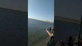 31 августа 2022 г.