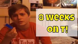 8 Weeks on Testosterone! [FTM]