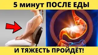 Remove HEAVYNESS after eating and stomach SPASM • Just place it under your back...