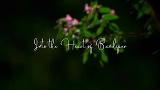 Into the Heart of Bandipur: Exploring the Wild Wonders | 4K Experience |