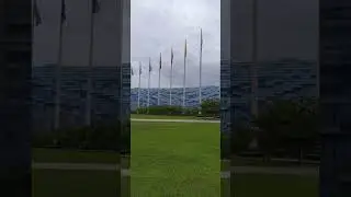 21 октября 2024 г.