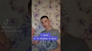 12 апреля 2024 г.
