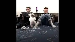 Джент любит собак 