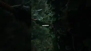 Eminem - Superman aesthetic lyrics full screen WhatsApp status | #shorts