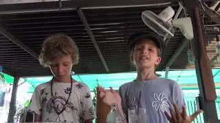 Как быстро сделать домашний лимонад!?