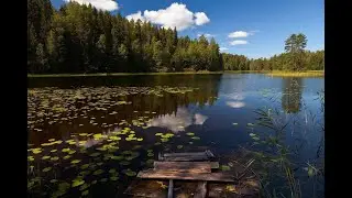 Рыбалка  