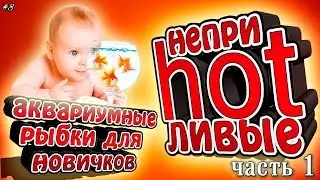 Неприхотливые аквариумные рыбки