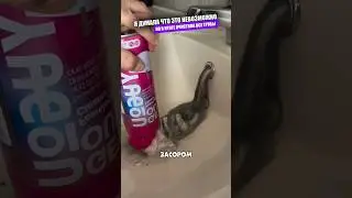 Очиститель изменивший мою жизнь