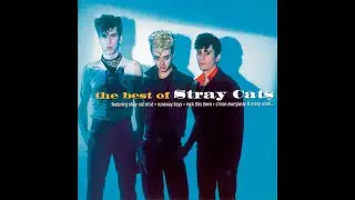 Stray Cats 