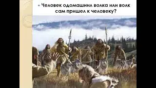 Собака - друг человека