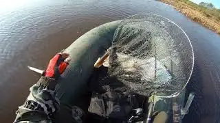 Рыбалка в сентябре на хищника