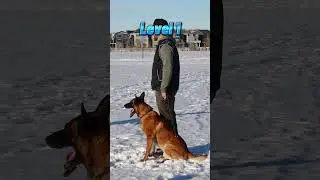 I took a BITE from a police dog 😳