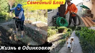 Наш подвал. Убираем огород. Все квасим 
