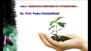 Herbicidas inibidores do fotossistema I