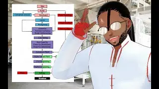 The Animation Pipeline!