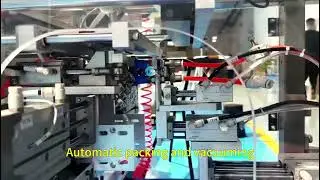 The one parts vision counting and packaging machine for VBP224