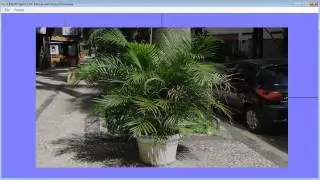 CLGL Interop Textures