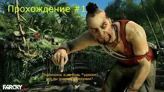 Far Cray 3, Прохождение #1, Что ты знаешь о безумии?