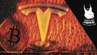 Elon Musk, Bitcoin & the Environment | Bitvice