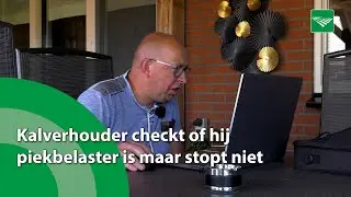 Kalverhouder is nieuwsgierig of hij piekbelaster is, maar stopt niet