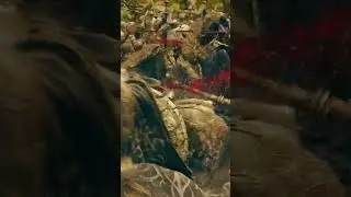 30 TREE SENTINEL CHALLENGE (OH MY)