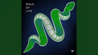 Walk of Life