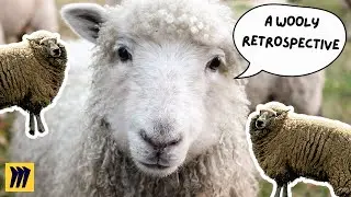 A Wooly Retro – Miroverse – Miro