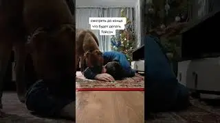 17 марта 2024 г.