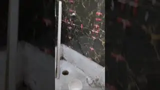 piso no banheiro
