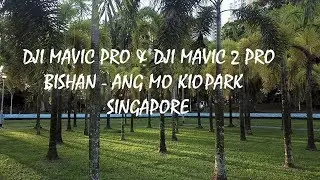 DJI Mavic Pro & DJI Mavic 2 Pro | Bishan - Ang Mo Kio Park, Singapore [4K]
