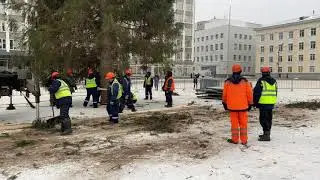 Елка на Стефановской площади 2020-2021