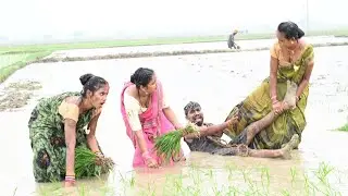 देखिए देहात गांव में रोपनी  करते समय //bhojpuri comedy video///