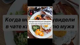 Сегодня Четверг, День Помощи нашему Приюту. Всё написала в комментах. Спасибо 