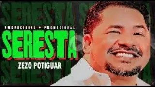 ZEZO POTIGUAR PROMOCIONAL CARNAVAL 2024 REPERTÓRIO ATUALIZADO NOVO ARROCHA PRA PAREDÃO