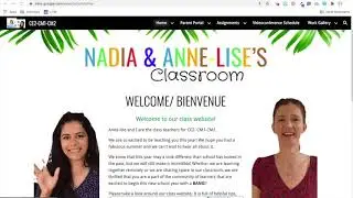 How to use the class website