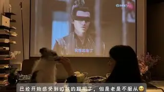 等我挥霍完自由，再向生活低头 #vlog #好好吃饭好好生活