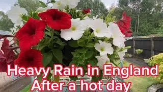 Heavy Rain In England today || Views From My UK garden
