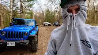 The AMOUNT OF BUGS On This Trail Is INSANE